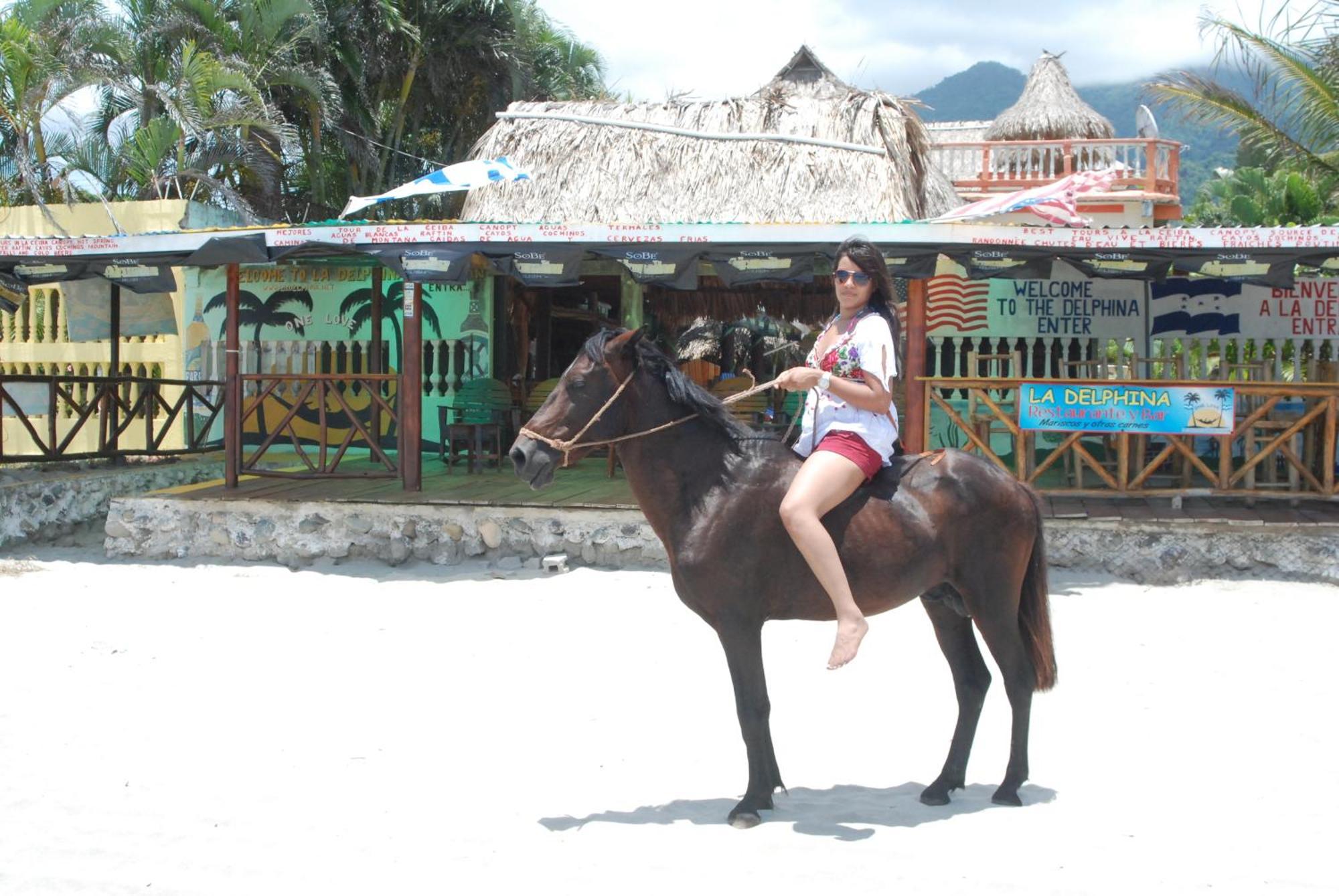 La Delphina Bed And Breakfast Bar And Grill La Ceiba Exterior photo